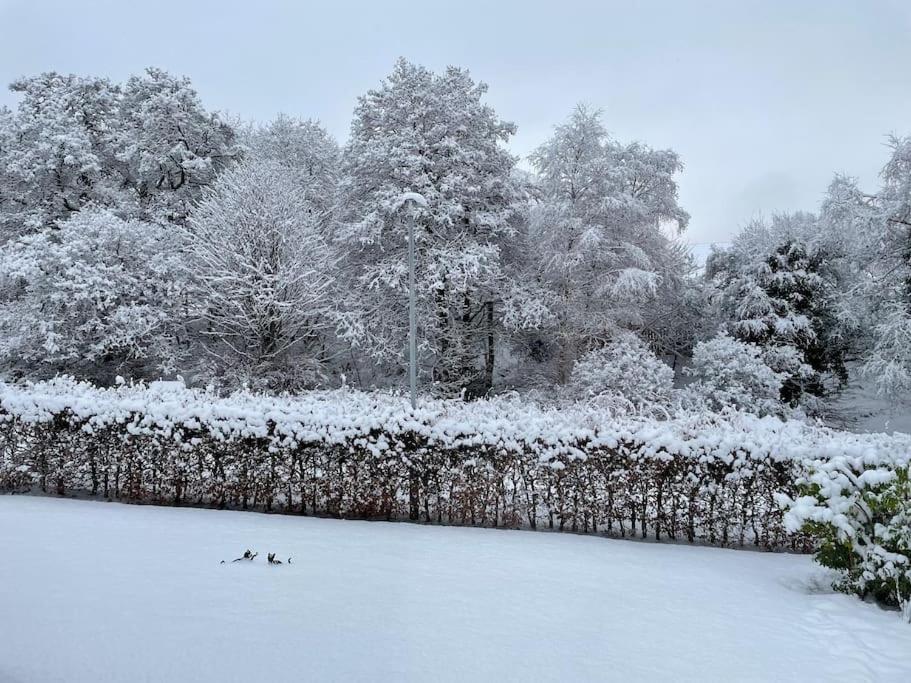 Apartmán Bonny Wee Snug - Pod In Spean Bridge Exteriér fotografie